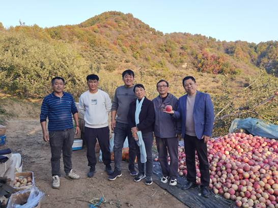 微信图片_20241029193349 微信图片_20241029193349