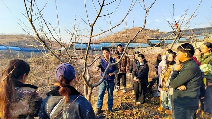 微信图片_20241201190943 微信图片_20241201190943